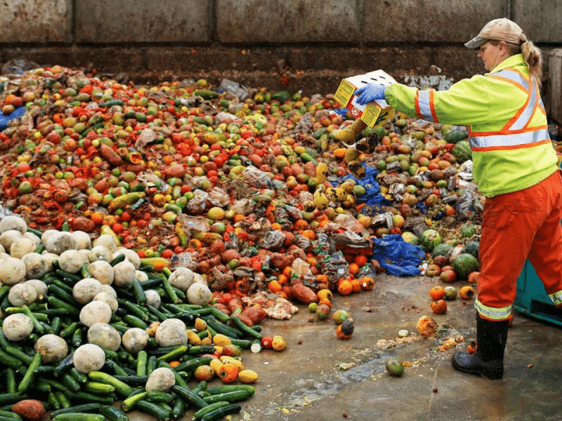 Desperdicio de comida: Un billón de dólares tirados a la basura – Mas Azul PlanetaMas Azul Planeta